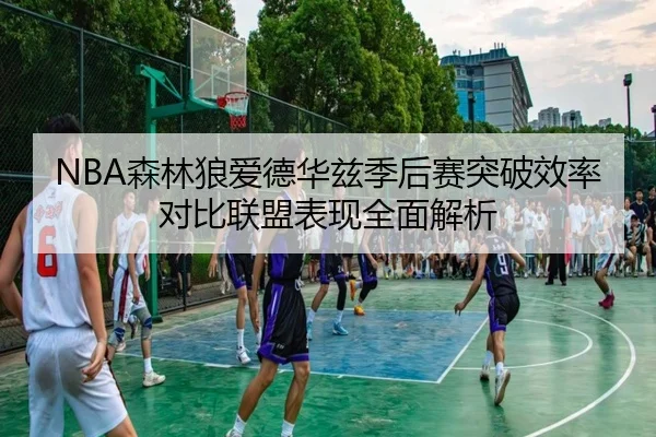 NBA森林狼爱德华兹季后赛突破效率对比联盟表现全面解析
