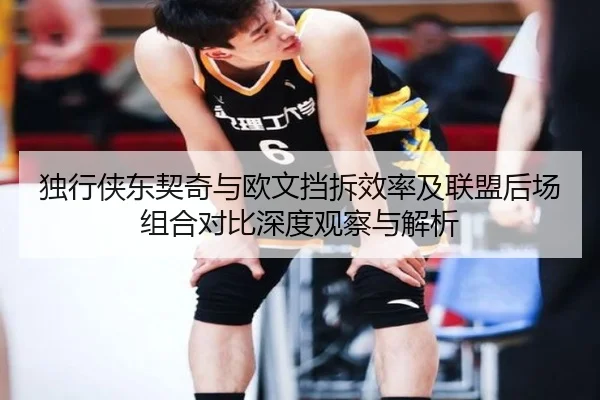 独行侠东契奇与欧文挡拆效率及联盟后场组合对比深度观察与解析
