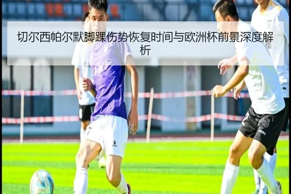 切尔西帕尔默脚踝伤势恢复时间与欧洲杯前景深度解析