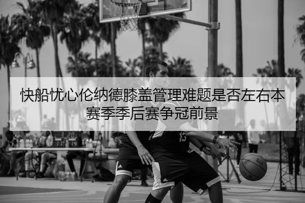 img_1783322289117_527_1_762.jpg