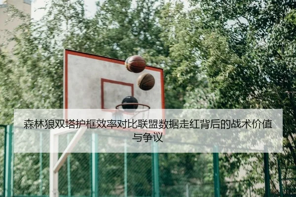 森林狼双塔护框效率对比联盟数据走红背后的战术价值与争议